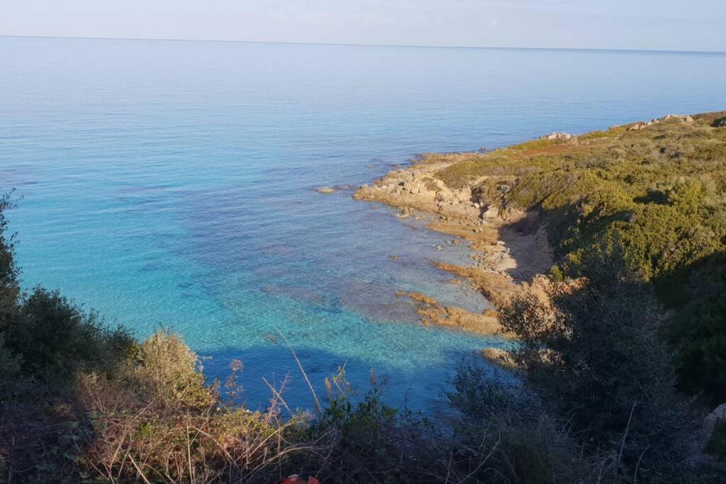 Monticello, Ile-Rousse - Residence Fiore Di Mare エクステリア 写真